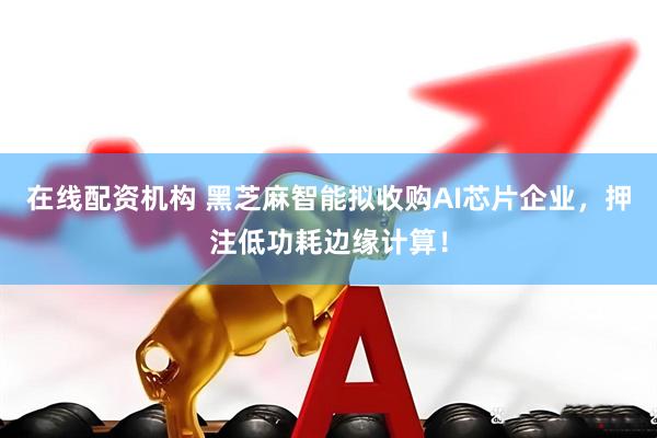 在线配资机构 黑芝麻智能拟收购AI芯片企业，押注低功耗边缘计算！