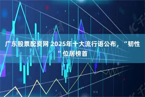 广东股票配资网 2025年十大流行语公布，“韧性”位居榜首